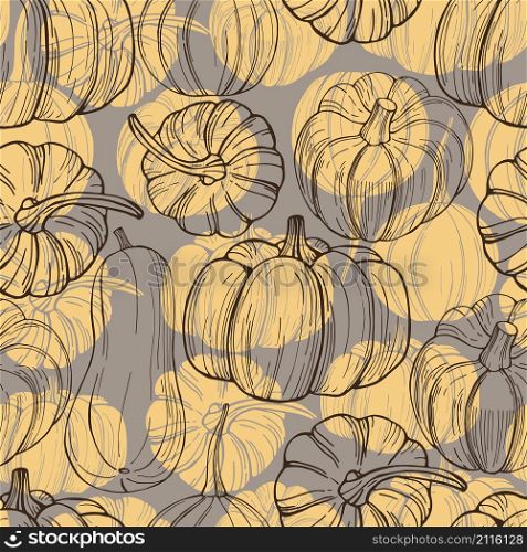 Vector seamless pattern with hand drawn pumpkins. Pumpkins. Hand drawn vegetables on white background.