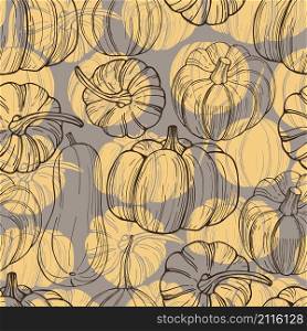 Vector seamless pattern with hand drawn pumpkins. Pumpkins. Hand drawn vegetables on white background.