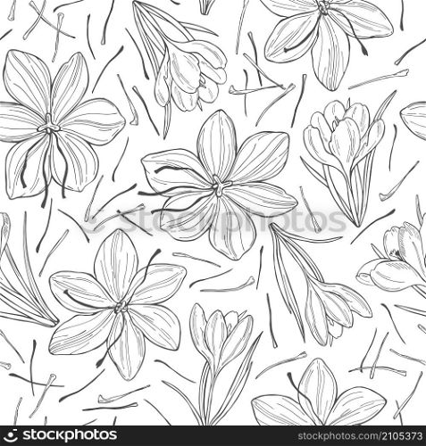 Vector seamless pattern with hand drawn saffron spice. . Saffron spice. Hand drawn sketch illustration