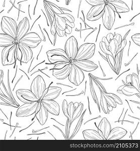 Vector seamless pattern with hand drawn saffron spice. . Saffron spice. Hand drawn sketch illustration
