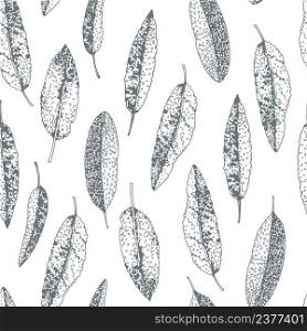Vector seamless pattern with hand-drawn sage leaves.. Sage leaves. Vector pattern.