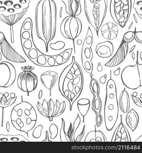 Vector seamless pattern with hand drawn seedpods.