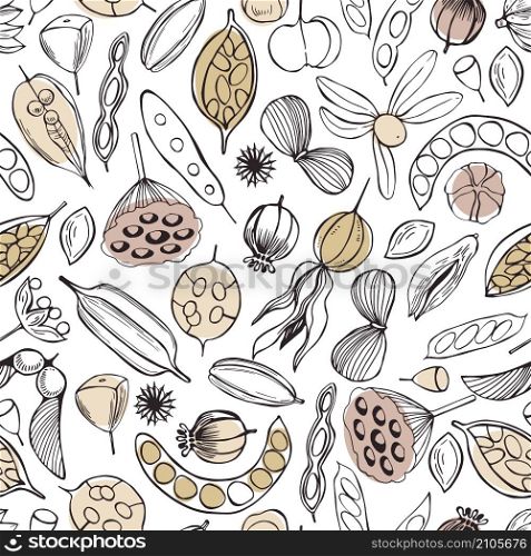 Vector seamless pattern with hand drawn seedpods. . Vector pattern with seedpods.