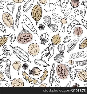 Vector seamless pattern with hand drawn seedpods. . Vector pattern with seedpods.