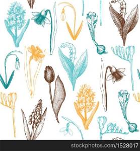 Vector seamless pattern with hand drawn spring flowers illustrations. Vintage background. Botanical sketch.