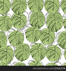 Vector seamless pattern with hand drawn tropical plants. Monstera plant.. Vector pattern with Monstera plant.