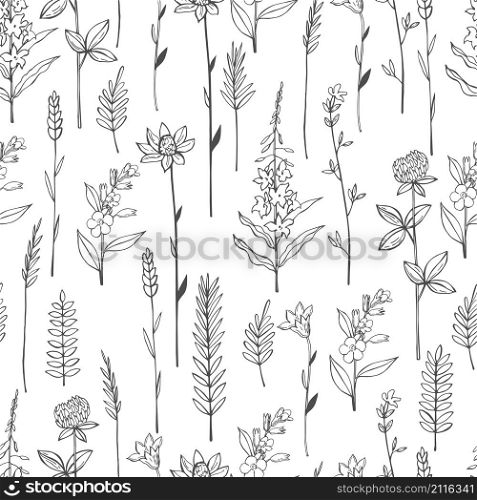 Vector seamless pattern with hand drawn wild herbs and flowers.. Vector seamless pattern with hand drawn wild herbs