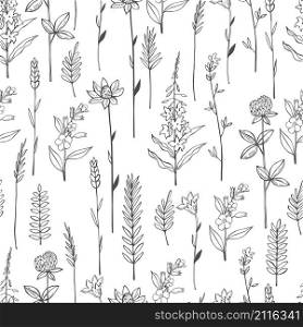 Vector seamless pattern with hand drawn wild herbs and flowers.. Vector seamless pattern with hand drawn wild herbs