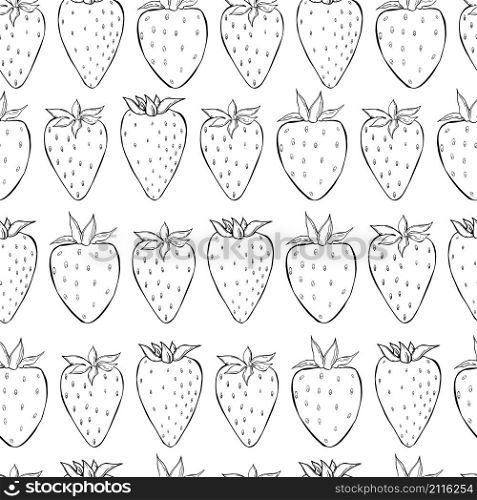 Vector seamless pattern with strawberry.. Strawberry. Sketch illustration