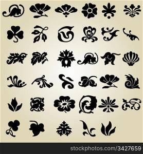 vector set: calligraphic flower design