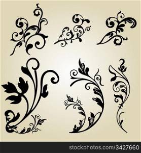 vector set: calligraphic flower design