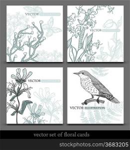 vector set of 4 floral cards with hand-drawn plants and a forest bird