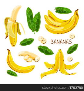 Vector set of bananas on a white isolated background.