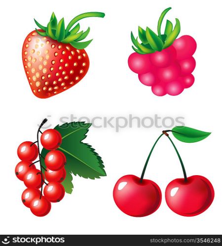 Vector set of berries objects