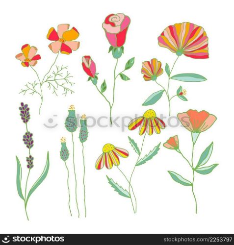 Vector set of blooming colorful hand drawn flowers. Collection of cute flowers isolated on white background.. Vector set of blooming colorful hand drawn flowers