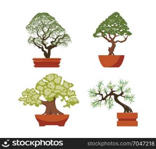 vector set of colorful bonsai trees in pots, isolated on white background. chinese bonsai art symbols, flat design