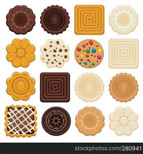 vector set of colorful chocolate and biscuit chip cookies of different shapes on white background
