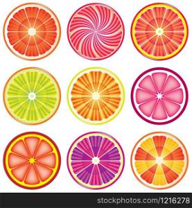 vector set of colorful citrus slices