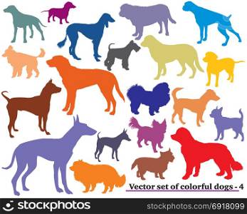 Vector set of colorful isolated different breeds dogs silhouettes on white background. Part 4