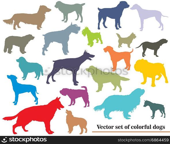 Vector set of colorful isolated different breeds dogs silhouettes on white backround