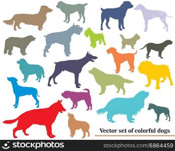 Vector set of colorful isolated different breeds dogs silhouettes on white backround