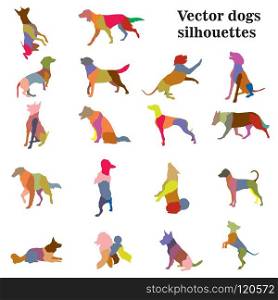 Vector set of colorful mosaic different breeds dogs silhouettes in motion- sitting, standing, lying, walking in profile isolated on white background.