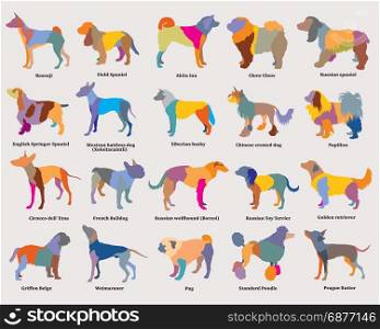 Vector set of colorful mosaic isolated different breeds dogs silhouettes on grey background. Part 3