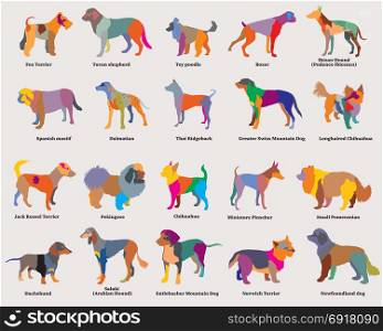 Vector set of colorful mosaic isolated different breeds dogs silhouettes on grey background. Part 4