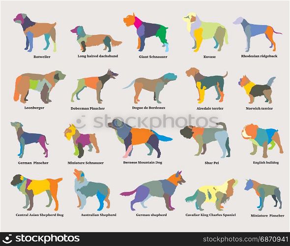 Vector set of colorful mosaic isolated different breeds dogs silhouettes on grey backround