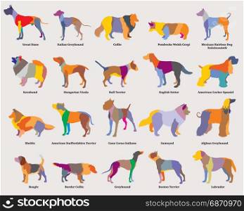 Vector set of colorful mosaic isolated different breeds dogs silhouettes on grey backround. Part 2