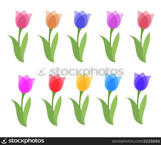 vector set of colorful tulip graphic drawings isolated on white background. beautiful tulips for decorative design. flat graphic style. spring tulips text. eps10 illustration