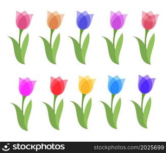 vector set of colorful tulip graphic drawings isolated on white background. beautiful tulips for decorative design. flat graphic style. spring tulips text. eps10 illustration