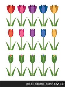 vector set of colorful tulip icons, abstract flower symbols isolated on white background, flat style