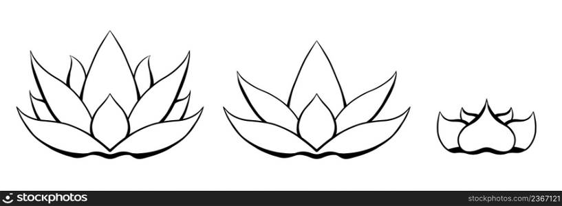 Vector set of contour lotus. Kit of outline water flower for icon. Natural sacred symbol for spa and yoga logo. Spiritual line art lily isolated from background. Vector set of contour lotus. Kit of outline water flower for icon. Natural sacred symbol for spa and yoga logo.