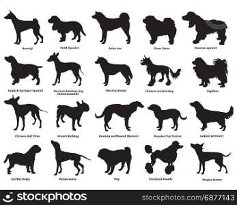 Vector set of different breeds dogs silhouettes isolated in black color on white background. Part 3
