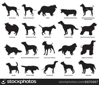 Vector set of different breeds dogs silhouettes isolated in black color on white backround. Part 2