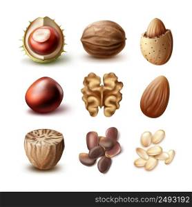 Vector set of different nuts shelled, unshelled walnuts, almonds, chestnuts, nutmeg and cedar top, side view isolated on white background. Set of different nuts
