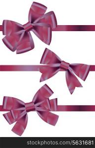 Vector set of different types of purple satin ribbons with bows