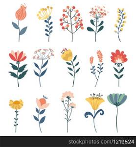 Vector set of doodle floral elements.Herbs, Hand drawn vector botany set.