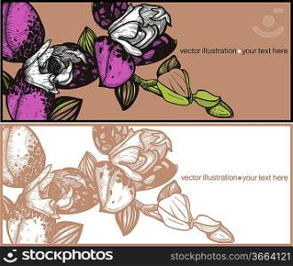 vector set of floral cards with blooming orchids
