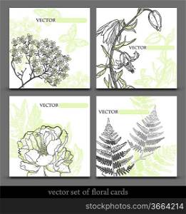 vector set of floral cards with hand drawn flowers and plants
