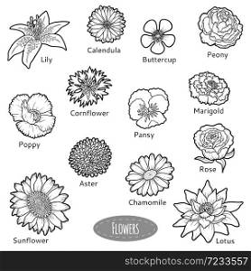 Vector set of flowers, black and white nature collection