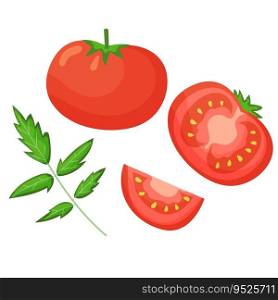 Vector set of fresh tomatoes in flat style. Cut tomato, slice and leaves isolated on white background. Illustration of healthy vegetable food, organic ripe fresh natural.