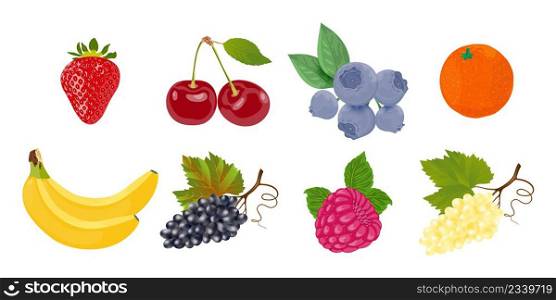 Vector set of fruits and berries on a white background. Fresh and ripe fruits and berries isolated on white background. Vector illustration. Healthy food.. Vector set of fruits and berries