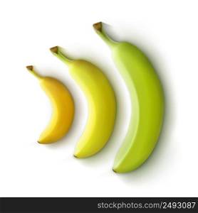 Vector set of green yellow bananas isolated on white background. Set of bananas