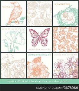 vector set of hand-drawn floral cards and seamless patterns