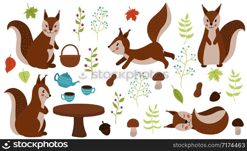 Vector set of hand drawn squirrels. Cartoon maple leaves, teapot, cups, plants, mushrooms, nuts and acorns. Woodland animals. For the nursery.