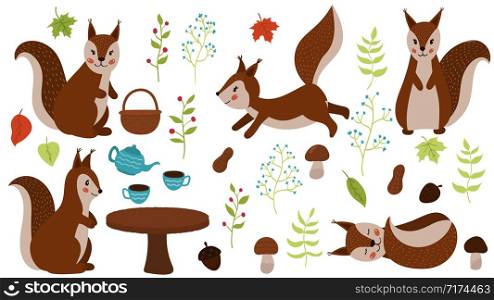 Vector set of hand drawn squirrels. Cartoon maple leaves, teapot, cups, plants, mushrooms, nuts and acorns. Woodland animals. For the nursery.