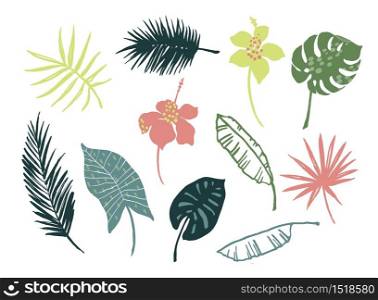 Vector set of hand-drawn tropical leaves and flowers. Design elements.. Vector set of tropical leaves and flowers.