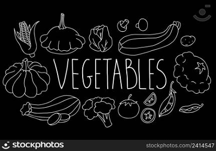 Vector Set of healthy food vegetables. Pumpkin and patisson, zucchini, cabbage, tomatoes and potatoes, mushrooms and corn, peas and cauliflower. Isolated linear chalk hand drawing on black background
